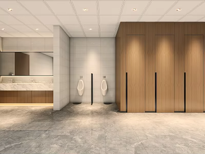 Modern Public Restroom Interior Design With Washbasin Mirror And Wooden Cubicles 3d model