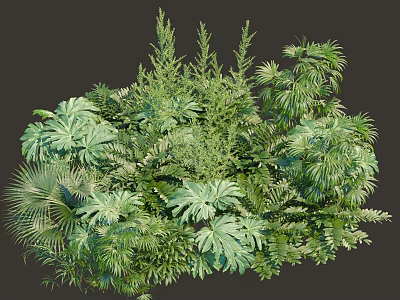 Lush Green Shrubs With Diverse Leaf Shapes Dense Foliage And Natural Plant Variety 3d model