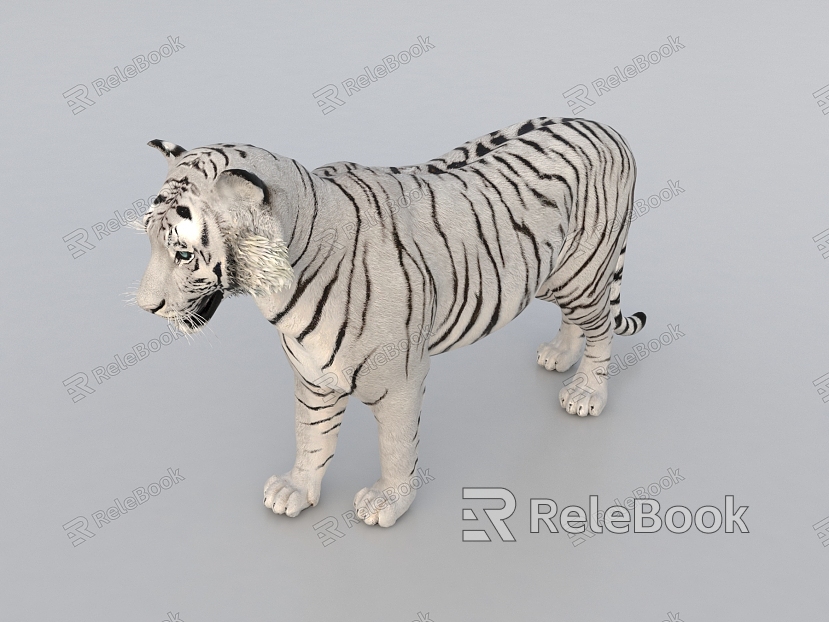 Modern Tiger White Tiger model