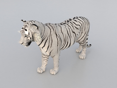 Modern Tiger White Tiger model