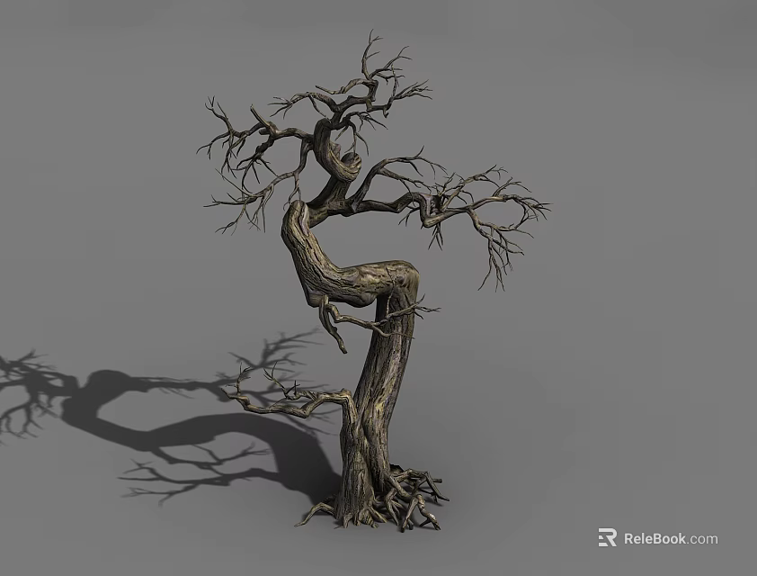 Twisted Leafless Tree With Gnarled Branches Exposed Roots And Shadow On Gray Background 3d model 