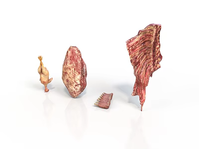 Organ and Hair Biological Specimens Showing Different Structural Characteristics 3d model