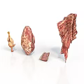 Organ and Hair Biological Specimens Showing Different Structural Characteristics