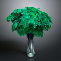 Lush Green Decorative Tree With Dark Textured Trunk And Foliage