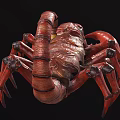 Realistic Scorpion Modern Realistic Animal Reptile Scorpion game 3d model