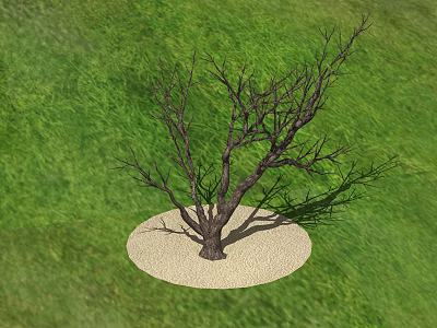 Dead Tree Standing On Sand Circle Surrounded By Green Grass Field 3d model