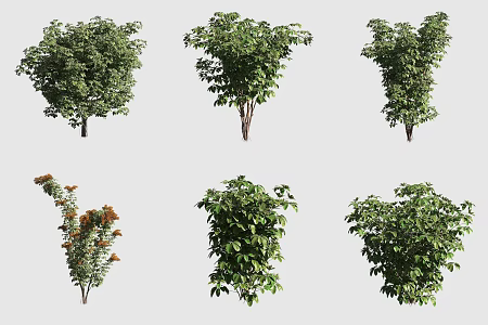 goose palm wood hawaiian plant 3d model