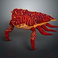 crab sea crab river crab hairy crab bread crab hermit crab big crab small crab marine animal fish 3d model