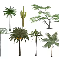 Different Types of Arbor Trees with Various Leaf Shapes and Trunk Structures