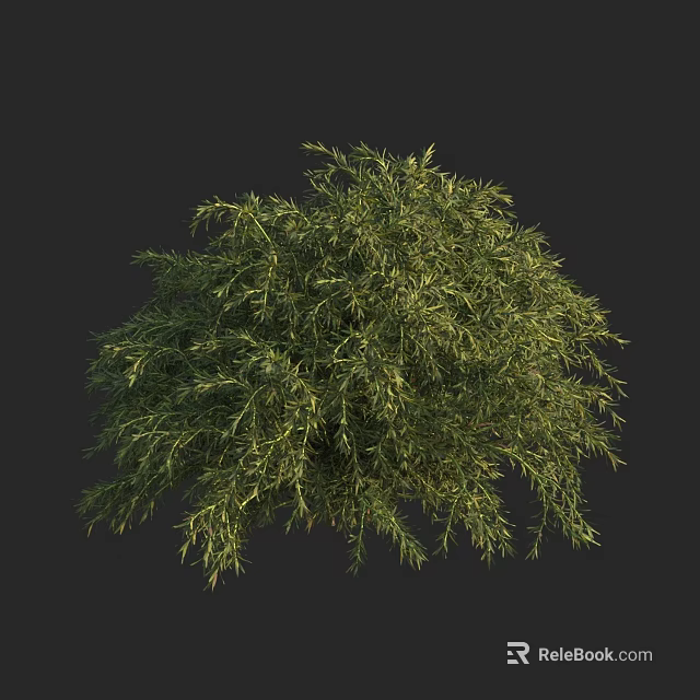 Lush Green Shrub With Dense Foliage And Natural Branch Structure 3d model 