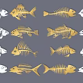 Golden And White Fish Skeletons Arranged In Pattern On Gray Background