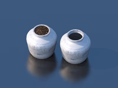 Bonsai Potted Plants Two White Ceramic Pots With Soil And Empty On Blue With Reflections 3d model