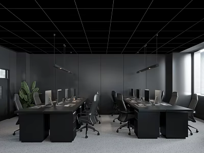 Modern Public Office Space With Black Desks Monitors Ergonomic Chairs Natural Lighting And Green Plant 3d model