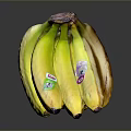 Ripe Fresh Yellow Bananas Bunch With Brand Stickers On Shiny Surface