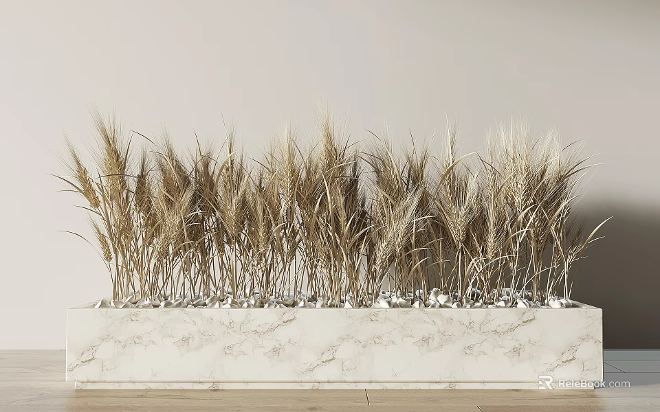 Ripe Wheat Crop In Marble Container With Decorative Pebbles And Natural Light 3d model 