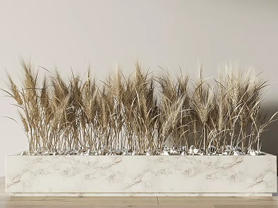 modern wheat crop 3d model modern wheat crop 3d model