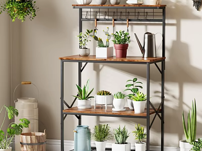 Multi tiered Metal Frame Wooden Shelf with Various Potted Plants and Watering Can 3d model