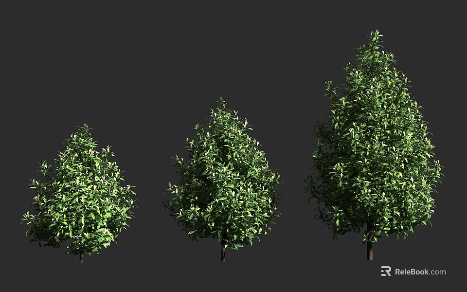 Three Different Sizes of Arbor Trees with Lush Green Foliage and Brown Trunks 3d model 