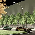 Municipal Road with Lined Street Trees Green Belts Street Lamps Pedestrians and Vehicles