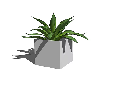 Stylish Bonsai Potted Plant With Square Gray Pot And Green Leaves 3d model