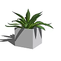 Stylish Bonsai Potted Plant With Square Gray Pot And Green Leaves