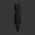 Realistic Doberman 3D Model With Black Tan Coat In Standing Pose 3d model