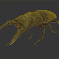 Modern Beetle Beetle Beetles Dung Beetles Scarab 3d model