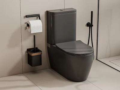Gray Modern Toilet in Bathroom Interior with Toilet Paper Holder and Brush Holder 3d model