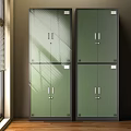 Modern Green Wardrobe With Glass Doors And Black Frames In Sunlight 3d model