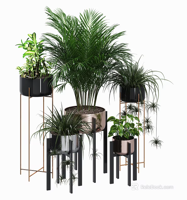 Various Indoor Potted Plants With Metal And Black Stand Planters And Green Foliage 3d model 