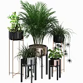 Various Indoor Potted Plants With Metal And Black Stand Planters And Green Foliage