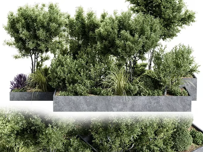 Lush Bonsai Potted Plants With Diverse Green Foliage In Concrete Planters For Garden Design 3d model