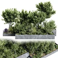 Lush Bonsai Potted Plants With Diverse Green Foliage In Concrete Planters For Garden Design