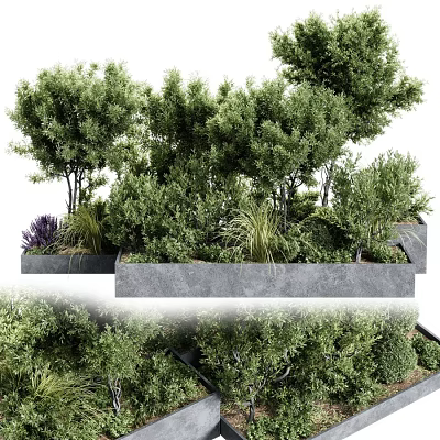 Lush Bonsai Potted Plants With Diverse Green Foliage In Concrete Planters For Garden Design 3d model