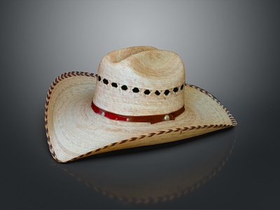 Modern Hat Cowboy Hat Straw Hat model