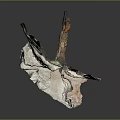Layered Rock Formation Featuring Natural Arch And Green Vegetation On Textured Surface