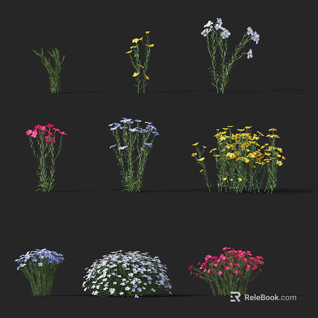 Diverse Crop Plant Varieties With Colorful Blooms And Lush Green Foliage 3d model 