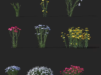 Diverse Crop Plant Varieties With Colorful Blooms And Lush Green Foliage 3d model