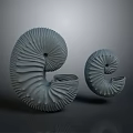 Two Gray Textured Spiral Sculptures Against Dark Background With Reflection 3d model
