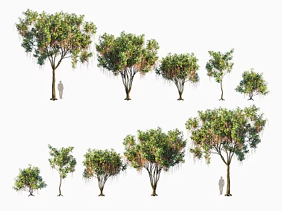 Various Sizes Arbor Trees With Lush Green Foliage For Landscaping Use 3d model