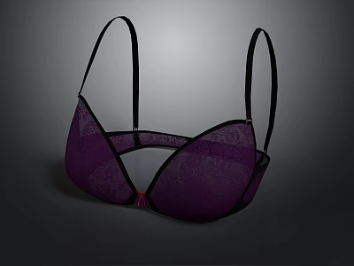 Stylish Purple Lace Bra For Women Daily Comfortable Undergarment Design 3d model