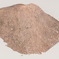 Sand mound scanning 3d model