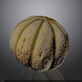 Fresh Ripe Cantaloupe Melon With Yellow Green Stripes And Smooth Surface On Dark Background