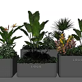 Gray Square Flower Planters With Various Green Plants Featuring LOGO Design 3d model