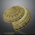 Shell Sculpture with Spiral Pattern Yellow Brown Detailed Texture Layered Design