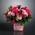 Flower Bouquet With Red Pink Flowers Green Leaves In Pink Square Vase On Dark Background