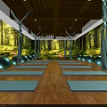 Serene Yoga Studio Interior With Forest Backdrop Wooden Flooring Yoga Mats And Balls
