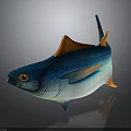Vibrant Blue Fish With Orange Fins And Shiny Scales On Dark Background