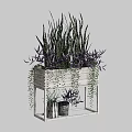 Potted Bonsai Plants On White Wooden Stand Featuring Long Striped Leaves Purple Foliage Hanging Vines
