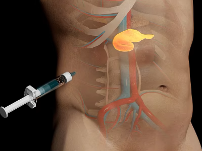 Medical Device Syringe for Human Abdominal Anatomy Visualization with Internal Organs and Blood Vessels 3d model